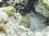 IMG_120154